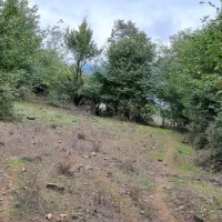 ۱۰۰۰متر زمین جیرمحله طالکوه جنگلی|فروش زمین و ملک کلنگی|برهسر, |دیوار