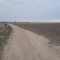 زمین کشاورزی