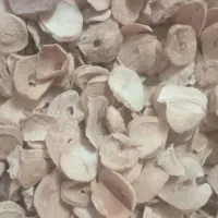 موسیر کوهی