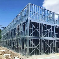 اسکلت ال اس اف lsf