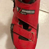 اسکیت حرفه ای