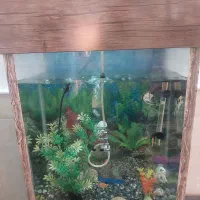 آکواریوم کمدی باماهی وپمپ