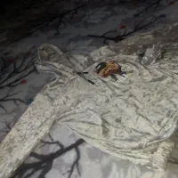 سلام بلوزشلوارپسرونه شش تاهشت سال میخوره