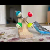 فروش 40کیلو سفره یکبار مصرف