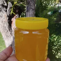 روغن حیوانی اصل