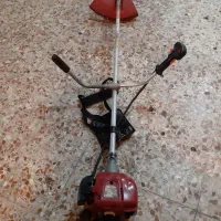 علف زن هندا اصل تایلند