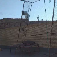 دام کبوتر