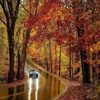 ورزش پیاده روی طبیعت کوهنوردی