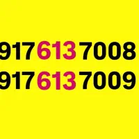 0917-613-7008-7009