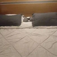 تخت دونفره با سرویس کامل