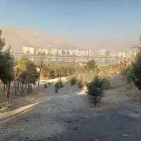 اجاره واحد مسکونی