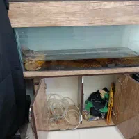 آکواریوم و کمد آکواریوم|لوازم جانبی حیوانات|تهران, گلستان (شهرک راه آهن)|دیوار
