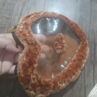 کیف آرایش|کیف، کفش، کمربند|شیراز, شهدای شهرک سعدی|دیوار