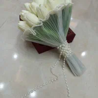 لوازم فرمالیته