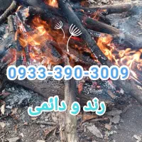 سیمکارت دائمی 3009-390-0933