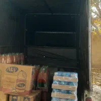 وانت پیکان دوگانه