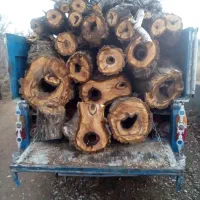 خرید انواع چوب درختان خشک و چوب سقفی|خدمات باغبانی و درختکاری|زنجان, |دیوار