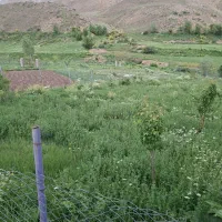 فروش باغ محصور ب متراژ ۱۵۰۰متر