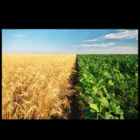 فروش زمین کشاورزی با موقعیت عالی