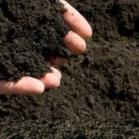 فروش  کود گوسفندی و گاوی  پوسیده