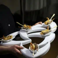 گریل بار.سوشی بار.فینگرفودگرم.کباب ترکی