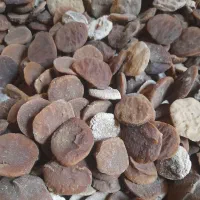 قروت گوسفندی