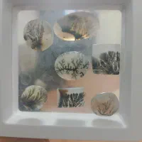 نگین انگشتر اصلی آگهی رو بخونید