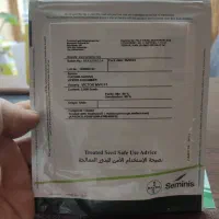 بذر خیار ویکتور|خدمات باغبانی و درختکاری|ساری, |دیوار