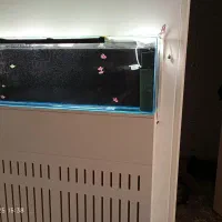 اکواریوم شیک وکم جا هم بدون باکس هم بی باکس
