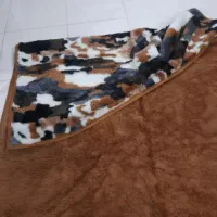 پتودورویه.دولایه .تک نفره .