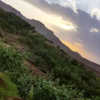 استخدام نگهبان و باغبان