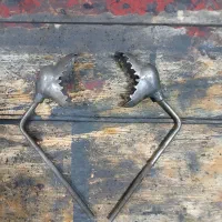 علامت دهنه اژدر علم