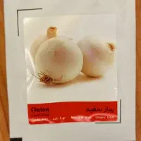 بذرپیازمینروا