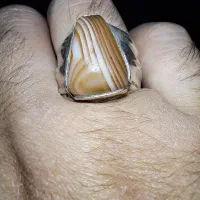 انگشتر سلیمانی چرب‌وشیرین