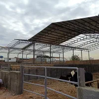 نصاب شیروانی خرپا سوله دامداری ویلا ایرانیت سالن|خدمات پیشه و مهارت|ری, فیروزآباد|دیوار