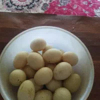 تخم اردک خارجی