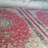 فرش مهستان کاشان|فرش|شیراز, شهرک بهار|دیوار