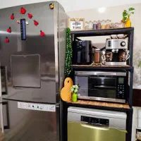 کافی بار نو