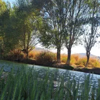 سرویس برگشت از مدرسه ی فجردانش تا اکبراباد