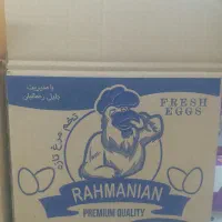 کارتن تخم مرغی