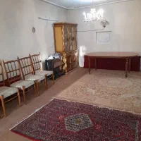 ملک-حیاط-دار-گیلاوند-زنبق-6