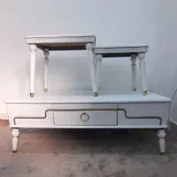 میز و دوتا گل میز