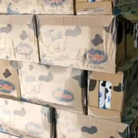 شیر میهن موجود