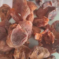 فروش برگ زردالو
