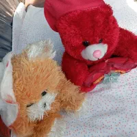 دوعدد عروسک در حد نو|اسباببازی|رشت, منظریه|دیوار