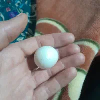 سنگ اسیاب|کلکسیون اشیاء عتیقه|زنجان, |دیوار