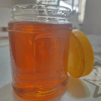 عسل گون و گشنیز طبیعی|خوردنی و آشامیدنی|رشت, آزادگان|دیوار