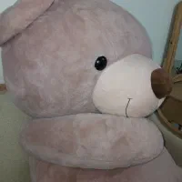 خرس سه متری|کلکسیون و سرگرمی|سبزوار, پاسداران|دیوار