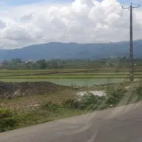 زمین-باغی-گلخانه-انبار-مرغداری-کاشت-درخت