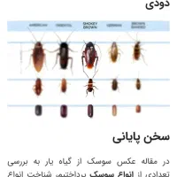 سمپاشی منزل و باغشهری|خدمات نظافت|صدرا-فارس, فاز ۲|دیوار